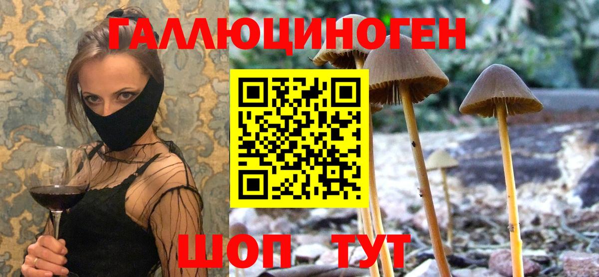 Псилоцибиновые грибы MAGIC MUSHROOMS  Вход с VPN  Кисловодск 